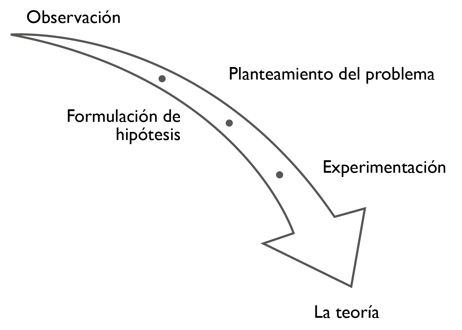 Quinta5